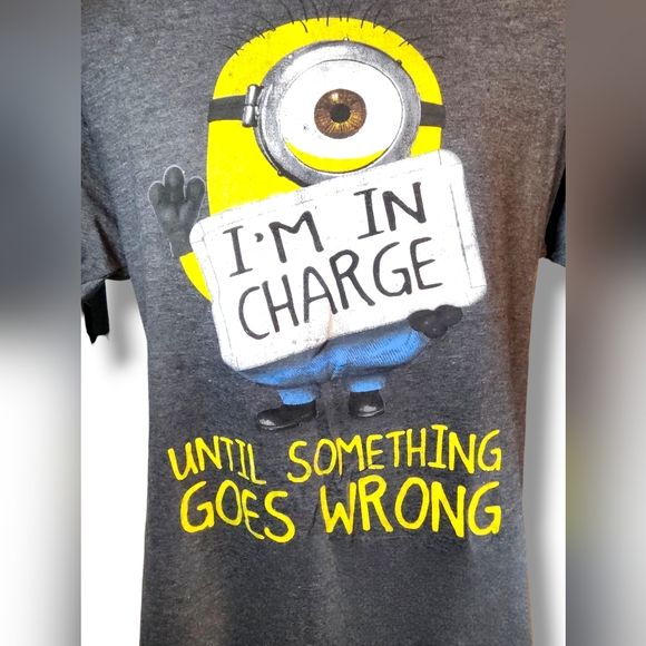 Minions T-Shirt  Medium I'm In Charge Until Something Goes Wrong Despicable Me 2 - Picture 2 of 4